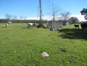 Charlie Heinsohn grave in foreground