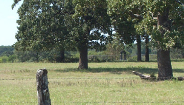 Boehnke Cemetery