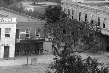 The Sinks Building and Historic Oak